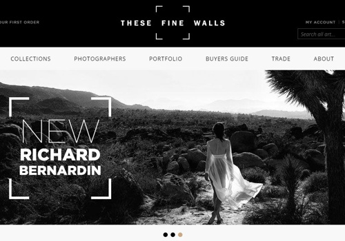 Custom Software Development Package Example: These Fine Walls