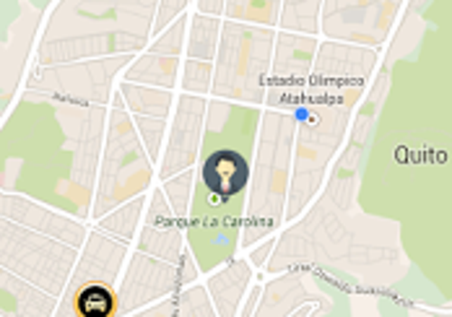 Web Development Package Example: TAXINET CAB