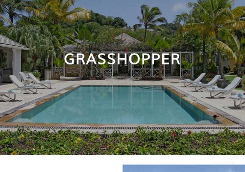 Web Design Package Example: Grasshopper Mustique