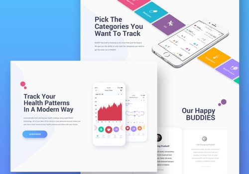 Web Design Package Example: BUDDY Health – UI/UX Design, Mobile App, Wearable