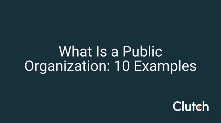 What Is a Public Organization: 10 Examples