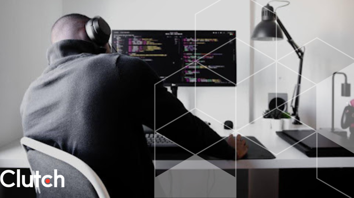 What Are the Types of Software Bugs?