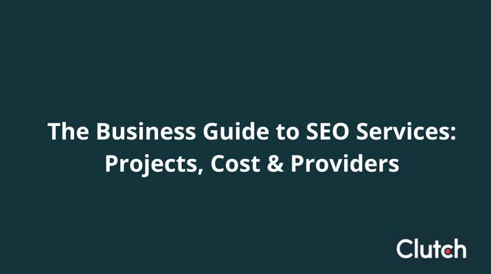 The Business Guide to SEO Services: Projects, Cost & Providers