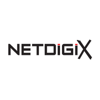 Netdigix Systems Inc Logo