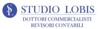 Studio Lobis Logo