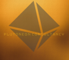 PLUTONEON CONSULTANCY Logo