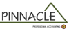 Pinnacle Professional Accounting Logo