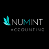 Numint Accounting Logo