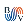 BLUEVISIONS Logo
