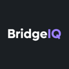 BridgeIQ Logo