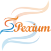 SPEXIUM INFOTECH PRIVATE LIMITED Logo