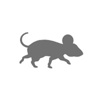 Cloudy Mouse Logo