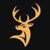 Blackbuck Infotech Logo