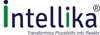 Intellika Hitech Systems Pvt. Ltd. Logo
