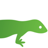 Green Gecko Digital Logo