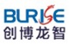 Hunan BLRISE Information Technology Co., Ltd. Logo