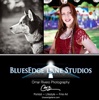 BluesEdge Lane Studios LLC Logo