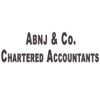 ABNJ & Co Logo
