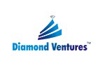Diamond Ventures Logo