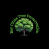 Bay Cities Tree Preservation Logo