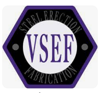 Vermont Steel Erection and Fabrication Logo