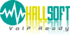 Hallsoft, C.A. Logo