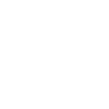 Evoluz Global Solutions Logo