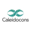 Caleidocons Oy Logo