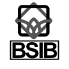 Best Start in Business Logo
