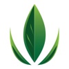 Sage Consulting Group Logo