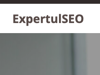 Expertul SEO Logo