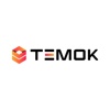 Temok IT Services Logo