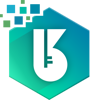 B&K Software Company Logo