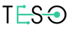 TESO Logo