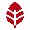 Red Leaf Media Logo