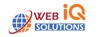 WebiQ Solution Logo