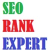 SeoRankExpert Digital Agency Logo