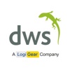 Developing World Systems Ltd Logo