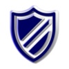 ITNS Consulting Logo