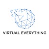 VIRTUAL EVERYTHING Logo