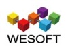 WeSoft (Shenzhen) Co., Ltd. Logo