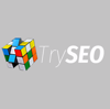 Tryseo.gr Logo