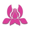 Orchid Human Resources Logo