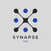 Synapse SEO Logo