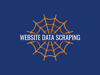 WebsiteDataScraping Logo