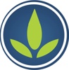 Studio Green Logo