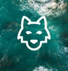 Robowolf Digital Logo