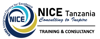NICE Tanzania Logo