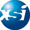 XSI Disaster Service Logo