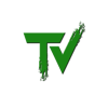 TechVizmo Logo